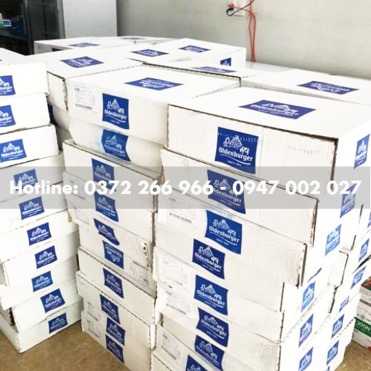 Phô mai mozzarella Oldenburger khối 2,5kg